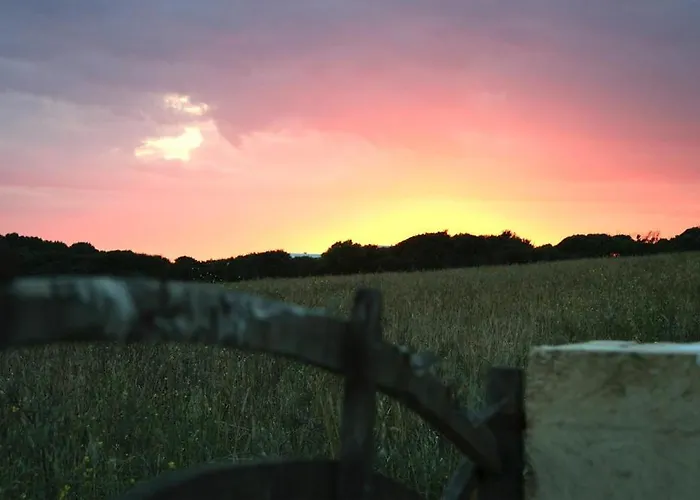 Atalis - Adults Only *